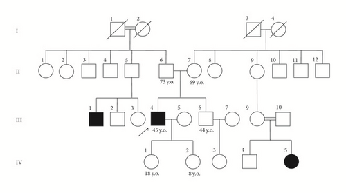 Details are in the caption following the image Details are in the caption following the image