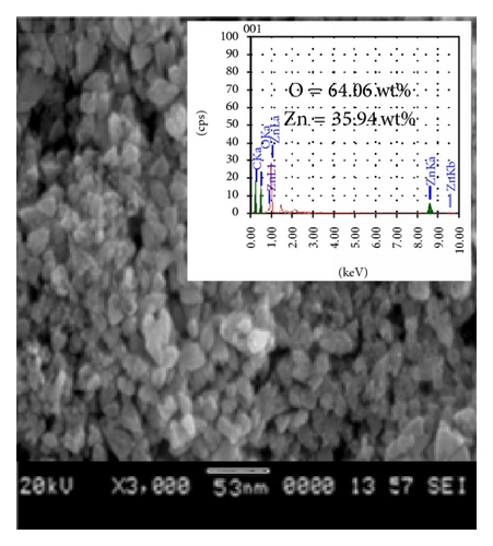 Details are in the caption following the image