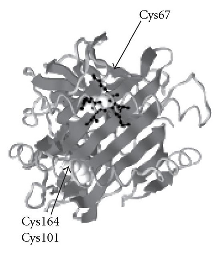 Details are in the caption following the image