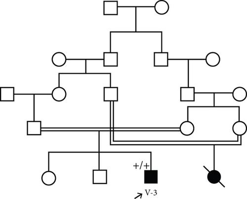 Details are in the caption following the image