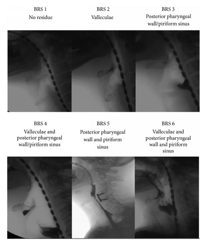 Details are in the caption following the image Details are in the caption following the image