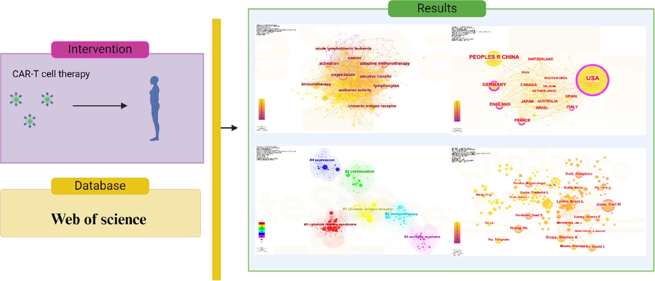 Visualization and hotspot analysis of CAR-T research based on CiteSpace Issue 2, 2025