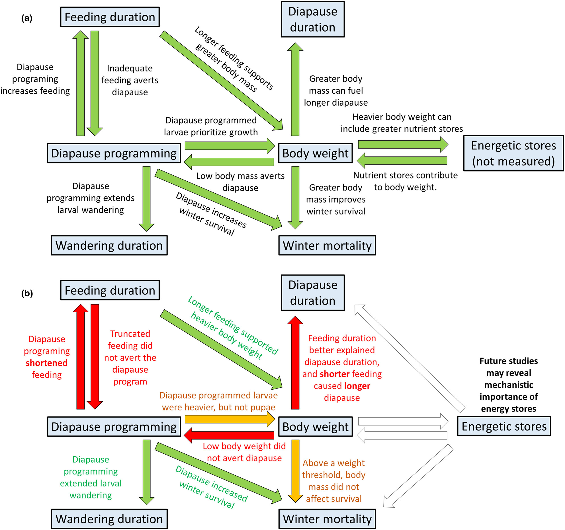 Bigger isn't always better: Challenging assumptions about the associations between diapause, body weight, and overwintering survival