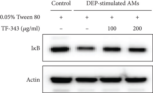 Details are in the caption following the image Details are in the caption following the image