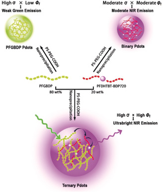 A BODIPY-Based Donor/Donor–Acceptor System: Towards Highly Efficient Long-Wavelength-Excitable Near-IR Polymer Dots with Narrow and Strong Absorption Features