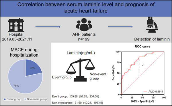 Correlation between serum laminin level and prognosis of acute heart failure