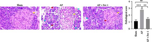 Details are in the caption following the image