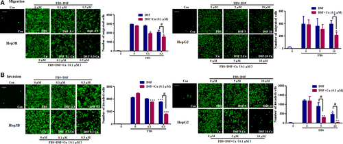 Details are in the caption following the image Details are in the caption following the image