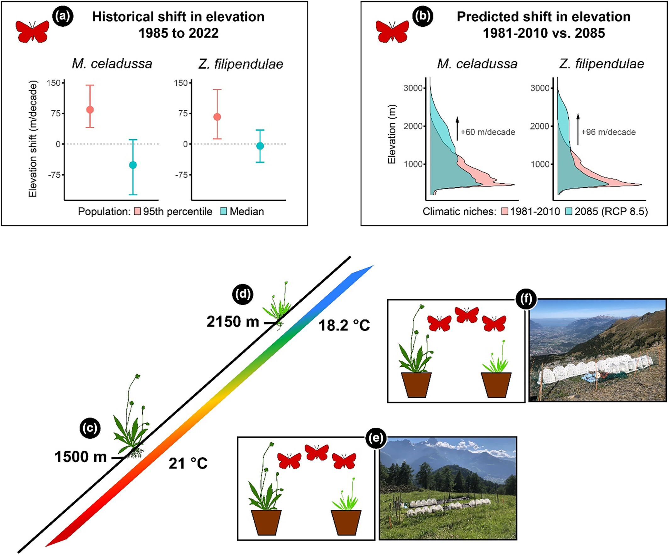Adapting to change: Exploring the consequences of climate-induced host plant shifts in two specialist Lepidoptera species