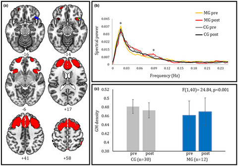 Short-term Sahaja Yoga meditation training modulates brain structure and spontaneous activity in the executive control network