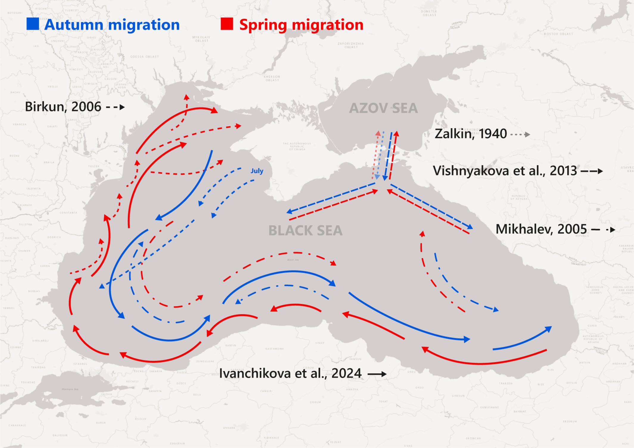 Seasonal and diel patterns in Black Sea harbour porpoise acoustic activity in 2020–2022