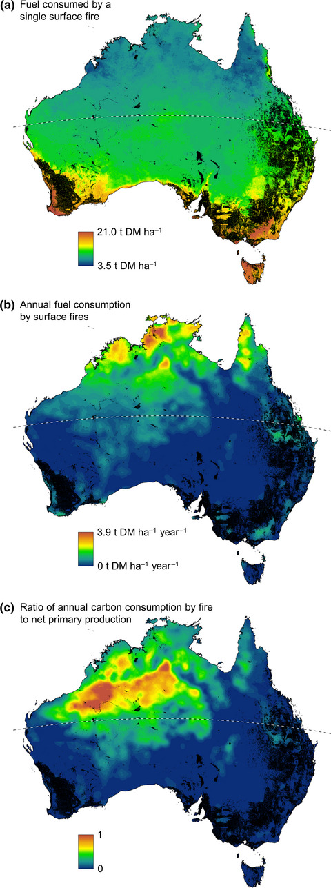 Biomass consumption by surface fires across Earth's most fire prone continent