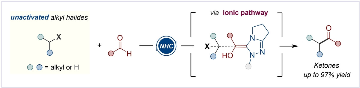 Direct Acylation of Unactivated Alkyl Halides with Aldehydes through N-Heterocyclic Carbene Organocatalysis
