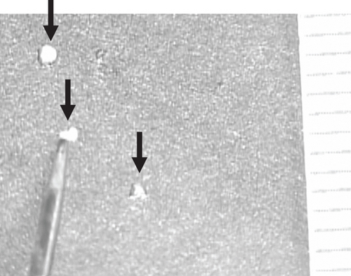Details are in the caption following the image