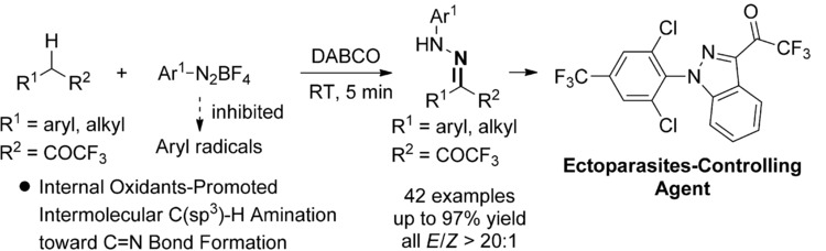 Intermolecular C(sp3)−H Amination Promoted by Internal Oxidants: Synthesis of Trifluoroacetylated Hydrazones