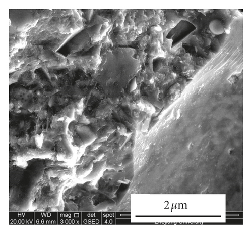 Details are in the caption following the image