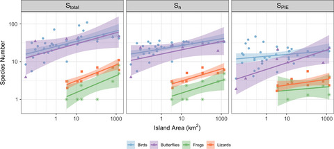 Species–area relationships in the Andaman and Nicobar Islands emerge because rarer species are disproportionately favored on larger islands