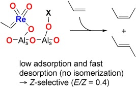 Tuning the Selectivity of Alumina-Supported (CH3)ReO3 by Modifying the Surface Properties of the Support