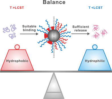 Self-Assembly Nanochaperone with Tunable Hydrophilic–Hydrophobic Surface for Controlled Protein Refolding