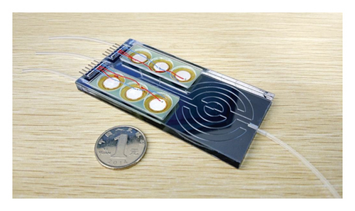 Details are in the caption following the image Details are in the caption following the image
