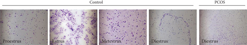 Details are in the caption following the image