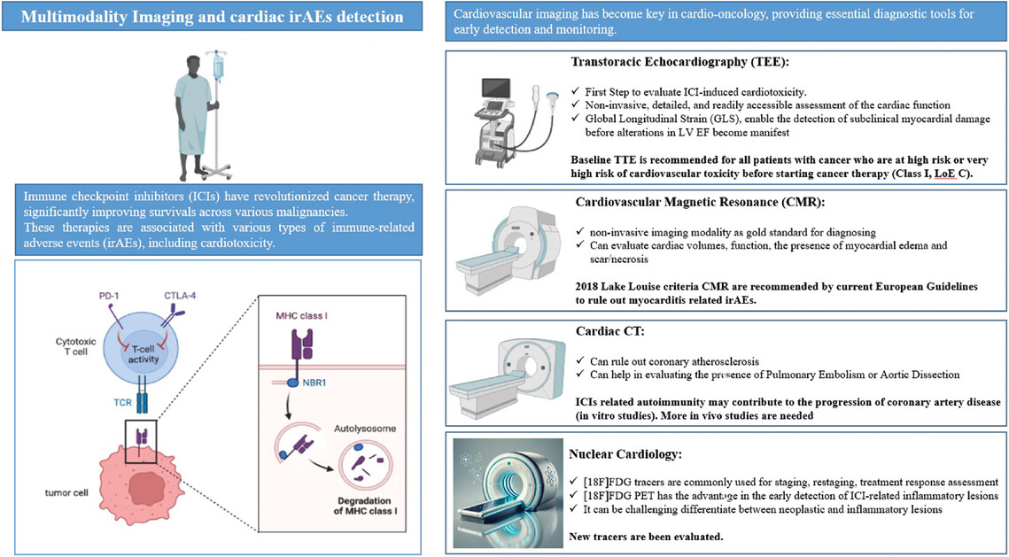Multimodality Imaging and Immune-Related Adverse Events During Immune Checkpoint Inhibitors Treatment: Where Do We Stand?