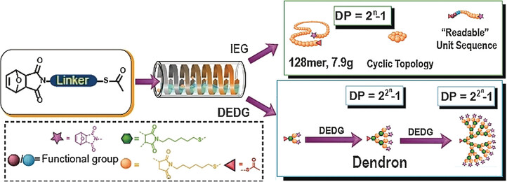 Combining Orthogonal Chain-End Deprotections and Thiol–Maleimide Michael Coupling: Engineering Discrete Oligomers by an Iterative Growth Strategy