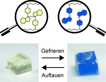 Mechanophores with a Reversible Radical System and Freezing-Induced Mechanochemistry in Polymer Solutions and Gels