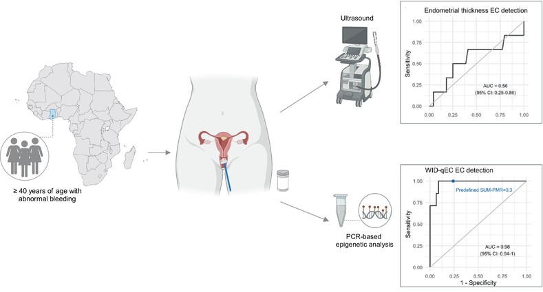 Performance of the WID-qEC test to detect uterine cancers in black women with abnormal uterine bleeding: A prospective observational cohort study in Ghana