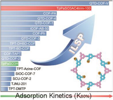 Boost of Gas Adsorption Kinetics of Covalent Organic Frameworks via Ionic Liquid Solution Process