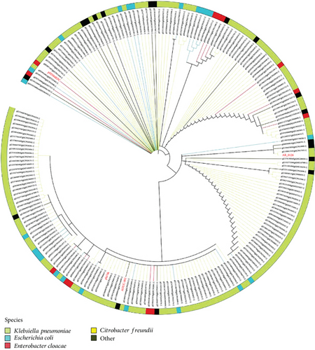 Details are in the caption following the image Details are in the caption following the image