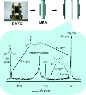 Methanol Behavior in Direct Methanol Fuel Cells