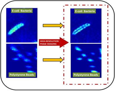 Label-free high-resolution white light quantitative phase nanoscopy system