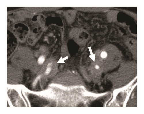 Details are in the caption following the image Details are in the caption following the image
