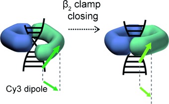 Loading Dynamics of a Sliding DNA Clamp