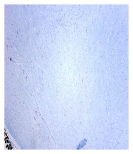 Details are in the caption following the image