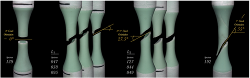 Details are in the caption following the image Details are in the caption following the image
