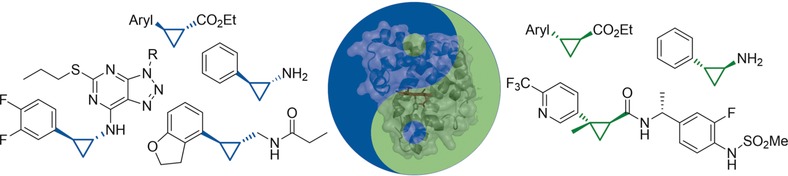 Gram-Scale Synthesis of Chiral Cyclopropane-Containing Drugs and Drug Precursors with Engineered Myoglobin Catalysts Featuring Complementary Stereoselectivity