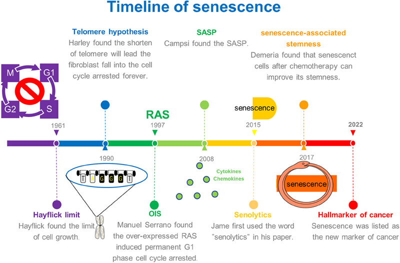 The dual role of cellular senescence in human tumor progression and therapy