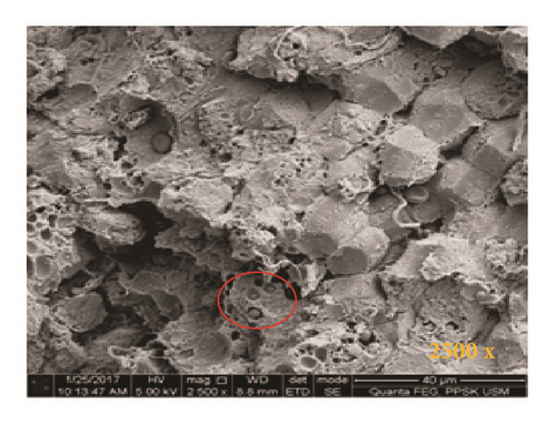 Details are in the caption following the image