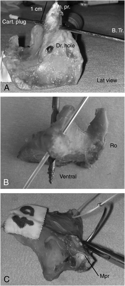 Details are in the caption following the image Details are in the caption following the image