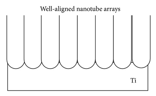 Details are in the caption following the image