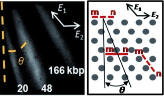 DNA Dynamics in Nanoscale Confinement under Asymmetric Pulsed Field Electrophoresis