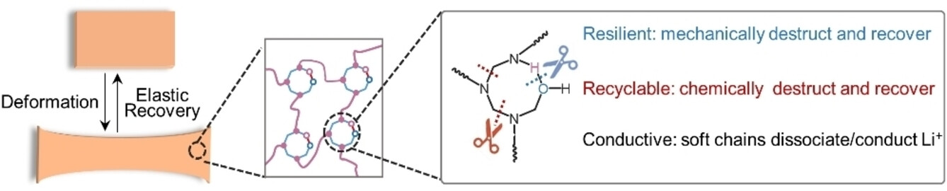 A Dual-Bond Crosslinking Strategy Enabling Resilient and Recyclable Electrolyte Elastomers for Solid-State Lithium Metal Batteries