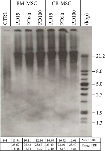 Details are in the caption following the image