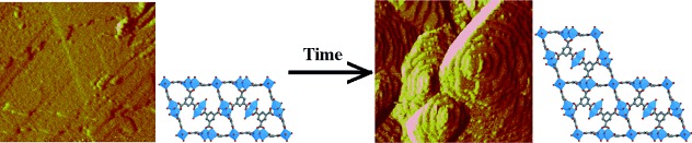 Crystal Growth of the Nanoporous Metal–Organic Framework HKUST-1 Revealed by In Situ Atomic Force Microscopy