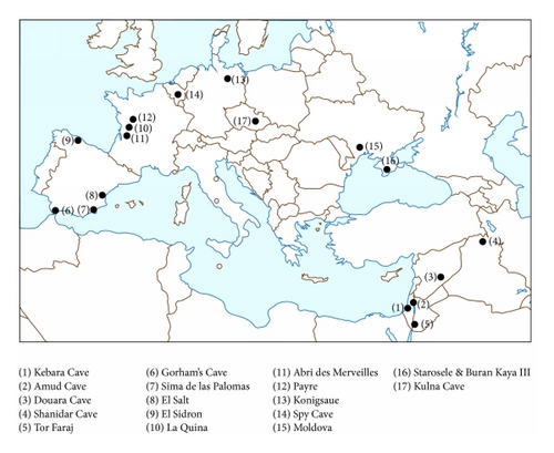 Details are in the caption following the image Details are in the caption following the image
