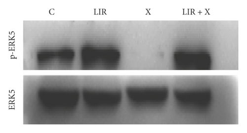 Details are in the caption following the image