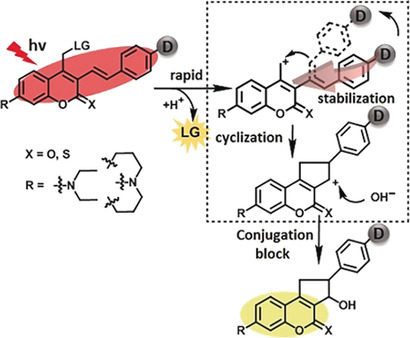Coumarin Photocaging Groups Modified with an Electron-Rich Styryl Moiety at the 3-Position: Long-Wavelength Excitation, Rapid Photolysis, and Photobleaching