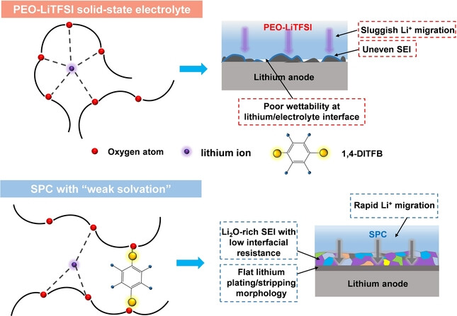 Supramolecular Polymer Ion Conductor with Weakened Li Ion Solvation Enables Room Temperature All-Solid-State Lithium Metal Batteries